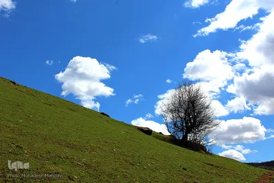 لبخند طبیعت در جلگه گیلان