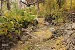 طبیعت پاییزی خراسان‌جنوبی