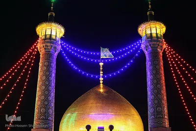 حرم فاطمه معصومه(س) در شب میلاد امام علی(ع)