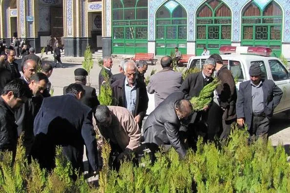 توزیع نهال در محل اقامه نماز جمعه/ نحوه کشت و نگهداری از درختان آموزش داده‌می‌شود