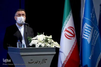  حجت‌الله ایوبی، دبیرکل کمیسیون ملی یونسکو – ایران