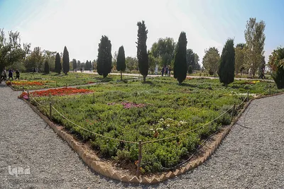 باغ گیاه شناسی ملی ایران