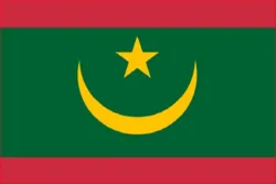 Quran Recitation Played in Mauritania Mosques to Help People amid Pandemic