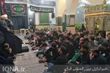 عزاداری خادمین شهدای گمنام در امامزاده قاسم (ع) بوشهر + عکس
