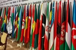 OIC, UN Urge Efforts for Promotion of Human Rights, Fighting Corruption