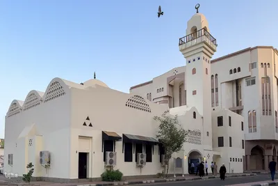 زیارت دوره زائران در مدینه منوره