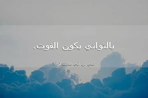 سبب النجاح ترك التواني
