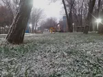 بارش برف زمستانی در اهر