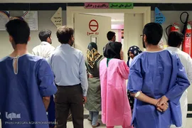 باران لبخند در کویر لب شکری های خراسان جنوبی