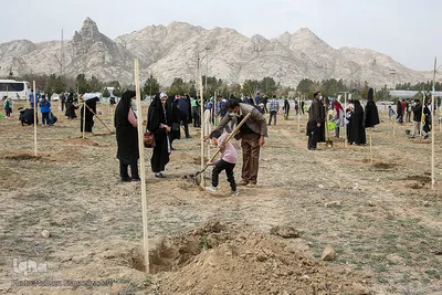پویش سراسری درختکاری - مشهد
