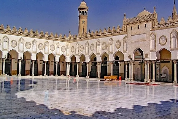 الجامع الأزهر يناقش وجوه الإعجاز في حديث القرآن عن الطير