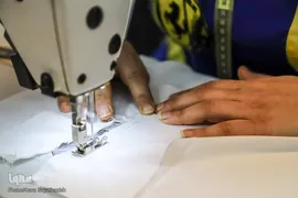 مثل یک درخت پُربار