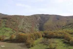 طبیعت پاییزی منطقه جنگلی تنباکولوی هوراند