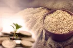 نظر آیت‌الله مظاهری درباره میزان فطریه در سال ۱۴۰۴