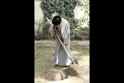 کاشت نهال در روز درختکاری