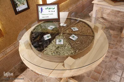 باغ موزه گیاهان دارویی و معطر زنجان