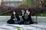 مراسم دعای عرفه در شهرستان کاشمر
