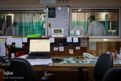 ما عاشقان بهاریم در انتظار ظهور