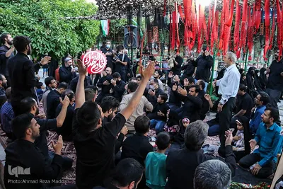 ویژه برنامه «سِرّ سَر» در گلزار شهدای شیراز‎‎