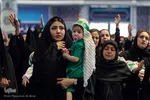 همایش شیرحوارگان در کرج