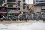چهارراه کبوترها‎‎