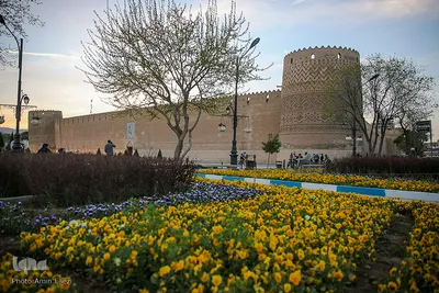 شیراز به استقبال بهار می رود
