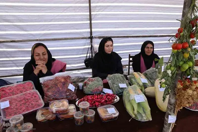 چهارمین جشنواره ملی شوسواره ارسباران جام شهدای اقتدار در اهر