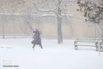 بارش سنگین برف در تبریز‎