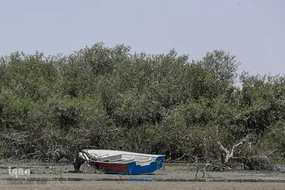 طبیعت صفر مرزی چابهار