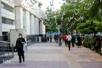 مشهد در شرایط قرمز کرونایی
