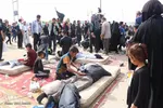 راهپیمایی اربعین حسینی(ع) در جاده نجف-کربلا/عکاس:طاها نظیری