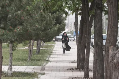 گرد و خاک شدید در زنجان‎‎
