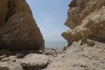 بازدید تور رسانه‌ای از کاکایی ارمنی در جزیره شاهسون دریاچه ارومیه و مزرعه پرورش آرتمیای بندر رحمانلو در عجب‌شیر