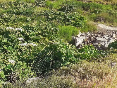 طبیعت زیبای قوشاداغ در اهر