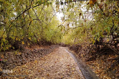 طبیعت پائیزی روستای گردشگری «دشتک» استان فارس‎‎