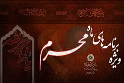 از برگزاری 50 ایستگاه صلواتی تا تجلیل از پیر غلامان حسینی