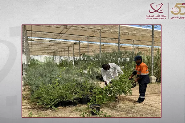 Taman Quran Qatar Laksanakan Projek Pemeliharaan Alam Sekitar