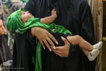 همایش شیرخوارگان حسینی در حرم حضرت معصومه (س)