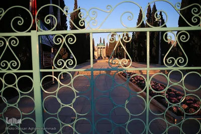 سعدیه