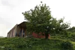 امام زاده ای در دل طبیعت بکر و جنگلی اهر