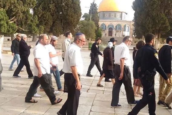 Incursión de decenas de colonos sionistas en la mezquita de al-Aqsa