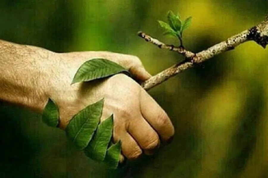 فیلم | تاثیرات جدید کرونا بر روی محیط زیست