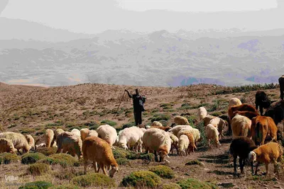جاذبه‌های گردشگری اهر؛ دروازه بهشت ارسباران