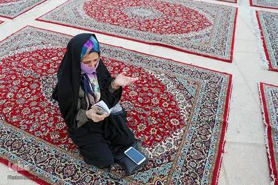میلاد امام رضا در حرم شاهچراغ(ع)