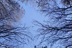 یک شب سرد پاییزی در پارک شیخ شهاب‌الدین اهری