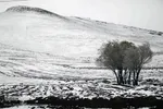 بارش برف پاییزی در ارتفاعات و مناطق روستایی اهر
