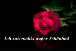 Ich sah nichts außer Schönheit