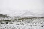 زمستان در بهار منطقه ارسباران