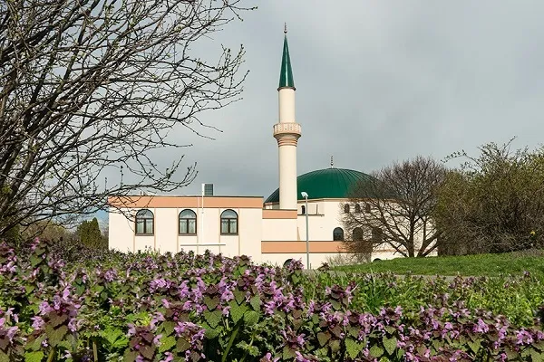 Avusturya İslam Cemaati: “Müslümanlarla İlgili Yanıltıcı Araştırmalara Son Verilsin”