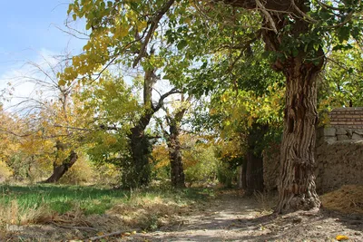 پاییز خراسان جنوبی